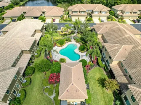 2539 Silverback Court Palm Harbor FL 34684