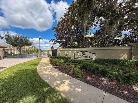 2539 Silverback Court Palm Harbor FL 34684