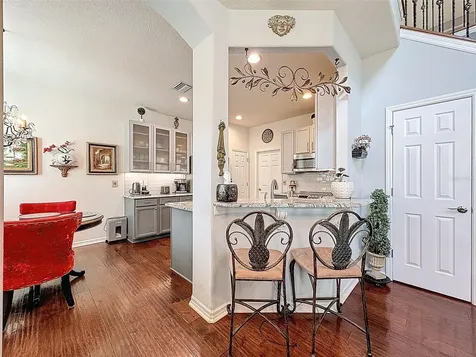 2539 Silverback Court Palm Harbor FL 34684
