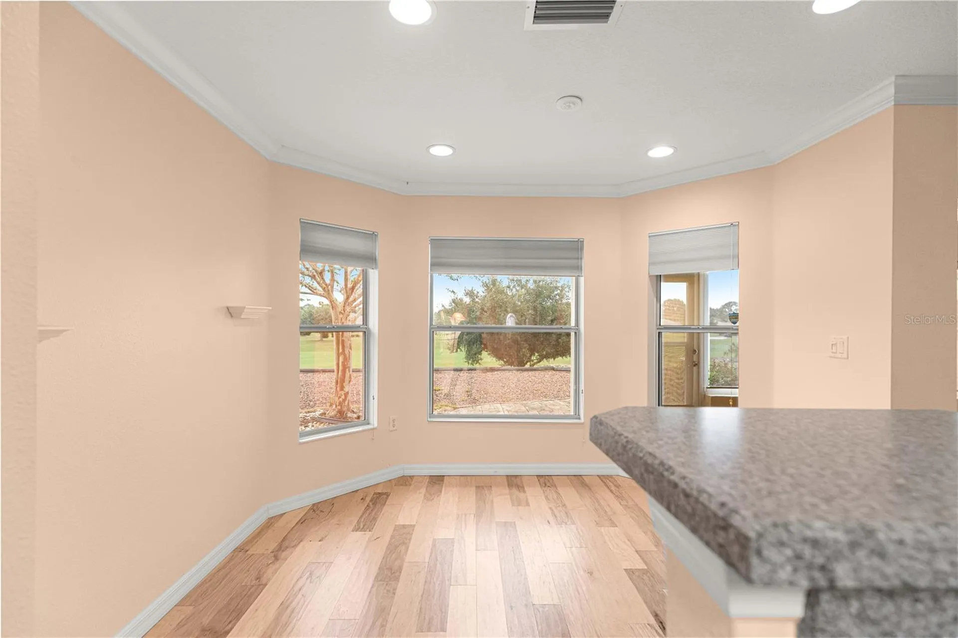 9119 SW 99th Court Road Ocala FL 34481