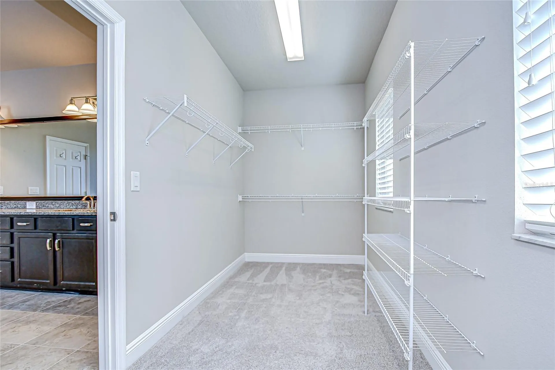 1018 Tracey Ann Loop Seffner FL 33584