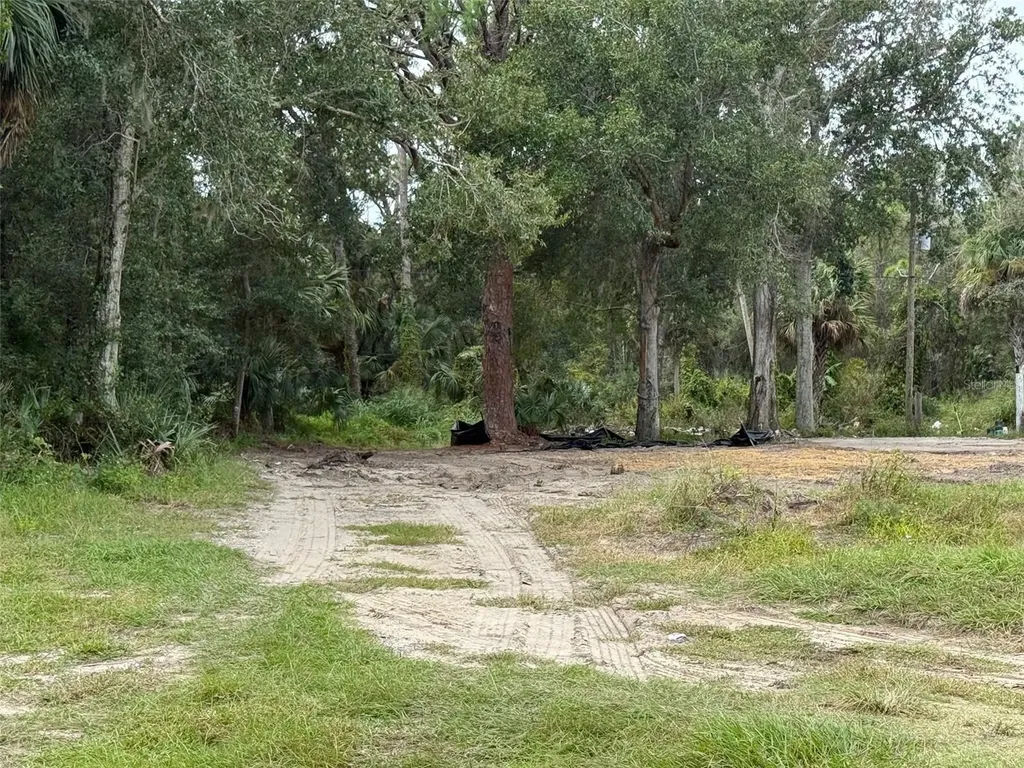 2794 S Ridgewood Avenue S Edgewater FL 32141