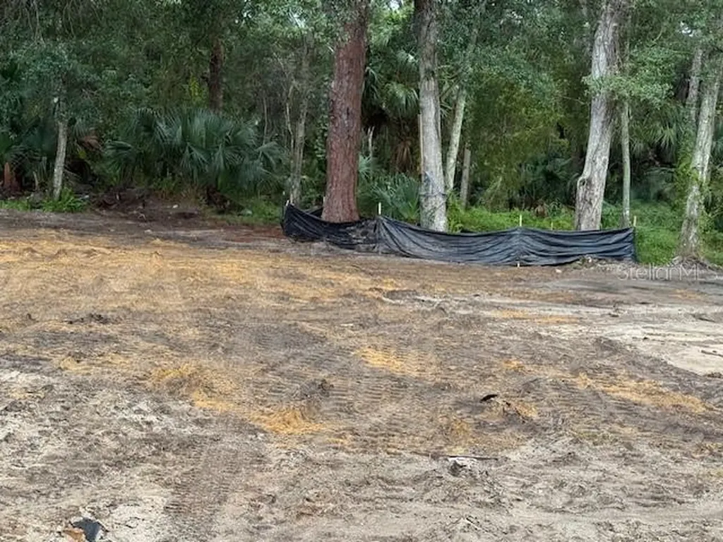 2794 S Ridgewood Avenue S Edgewater FL 32141