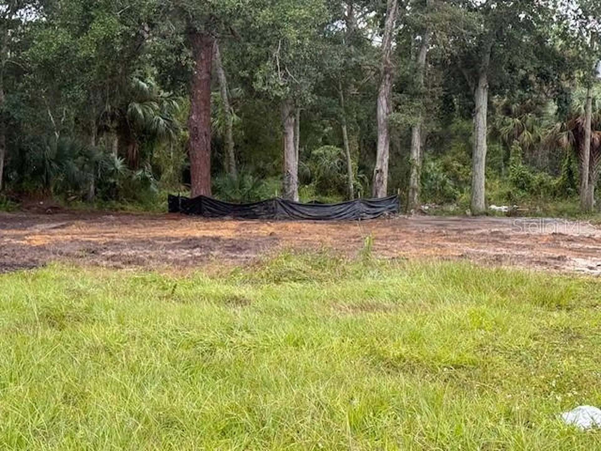 2794 S Ridgewood Avenue S Edgewater FL 32141