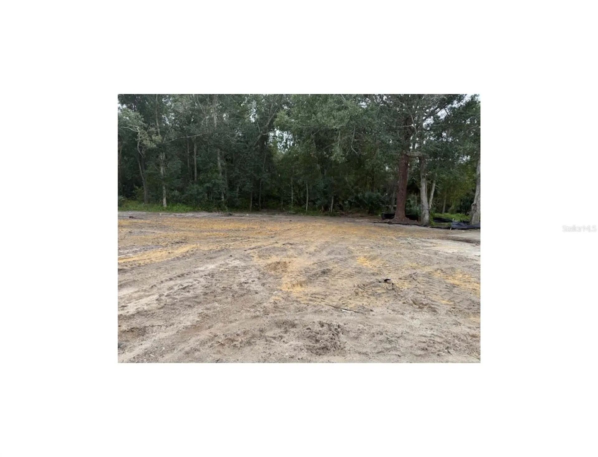 2794 S Ridgewood Avenue S Edgewater FL 32141