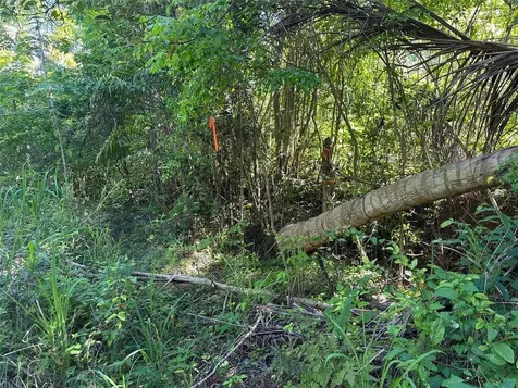Carr. 413 Interior Rincon PR 00677