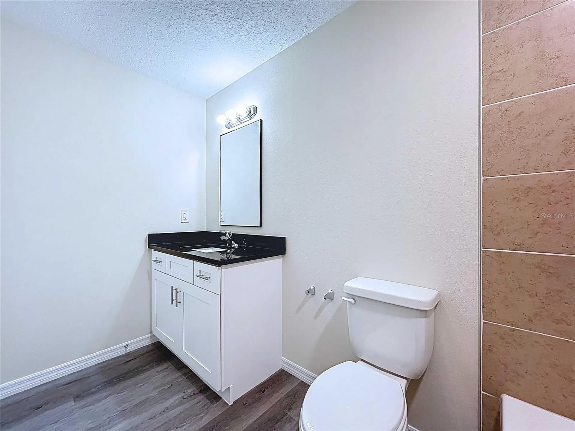 4368 Cambio Gardens Court Tampa FL 33610