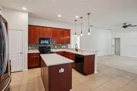 1804 Prairie Grass Lane Valrico FL 33594