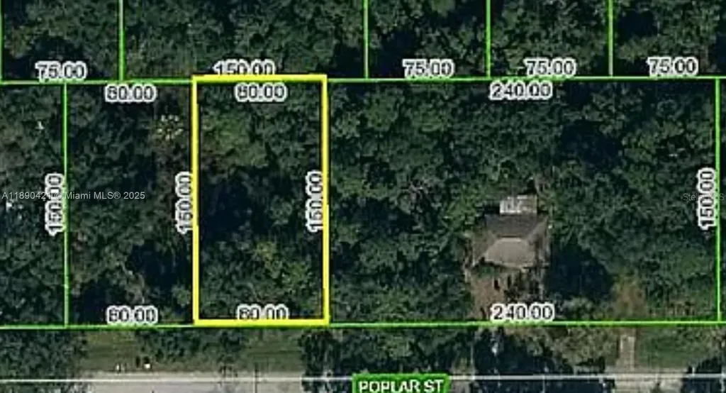 Lake Placid FL 33852