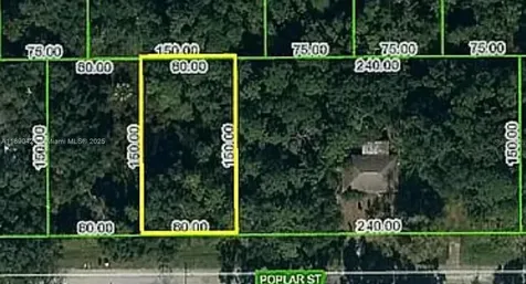 Lake Placid FL 33852