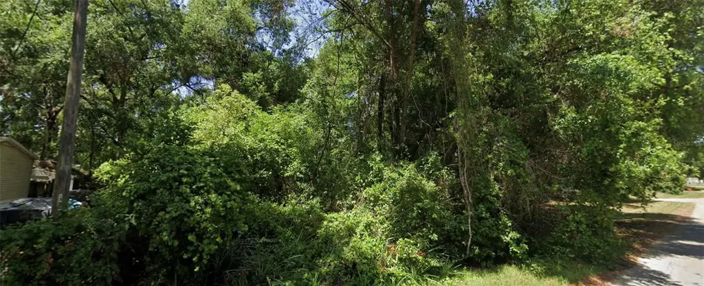 SE 144th Lane Summerfield FL 34491