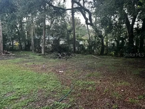 1599 W J Williams Lane Dunnellon FL 34434