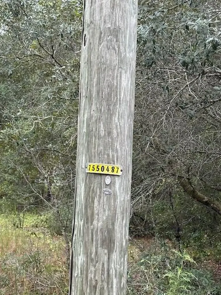 Ocklawaha FL 32179