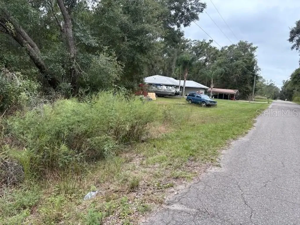 Ocklawaha FL 32179