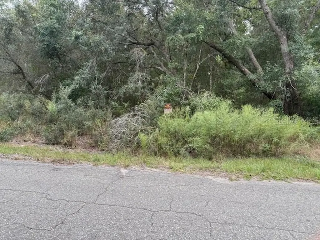 Ocklawaha FL 32179