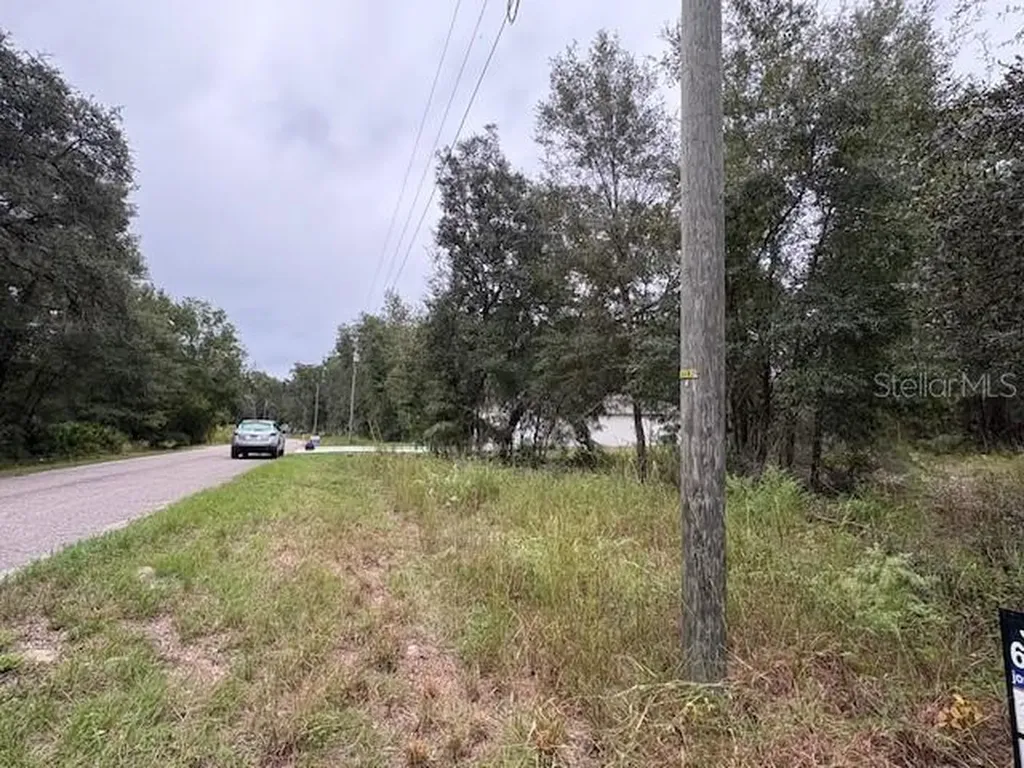 Ocklawaha FL 32179