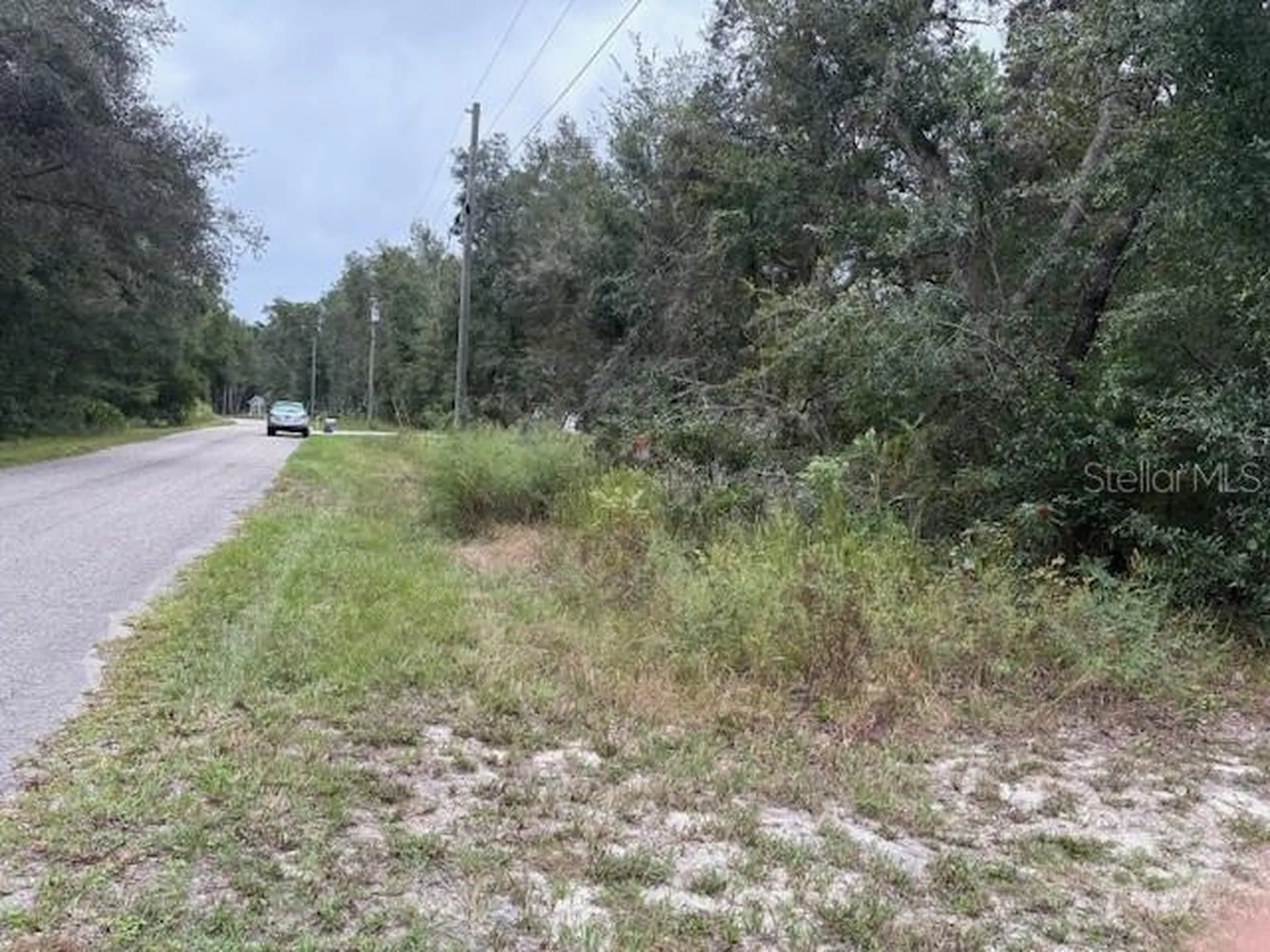 Ocklawaha FL 32179