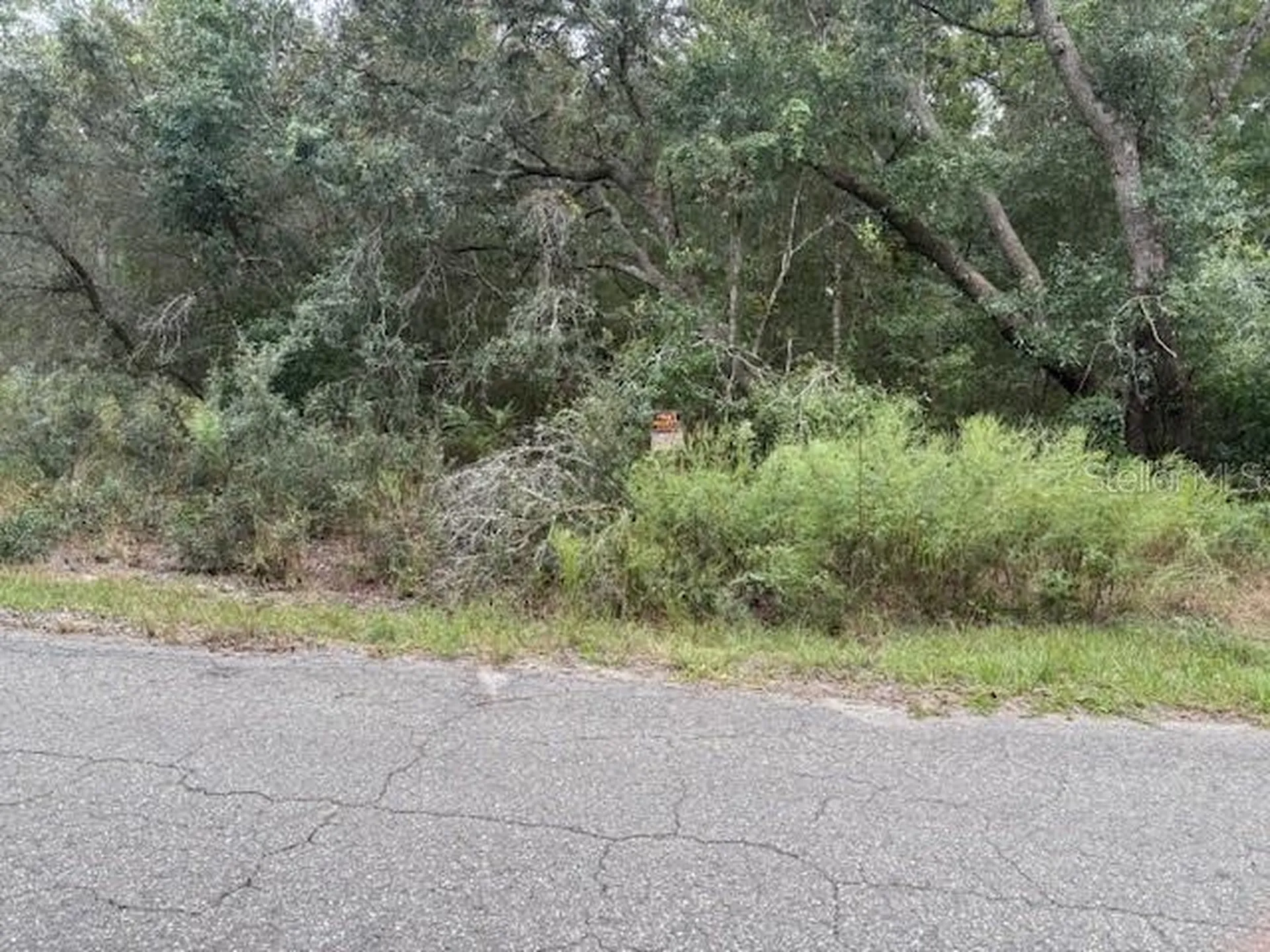Ocklawaha FL 32179