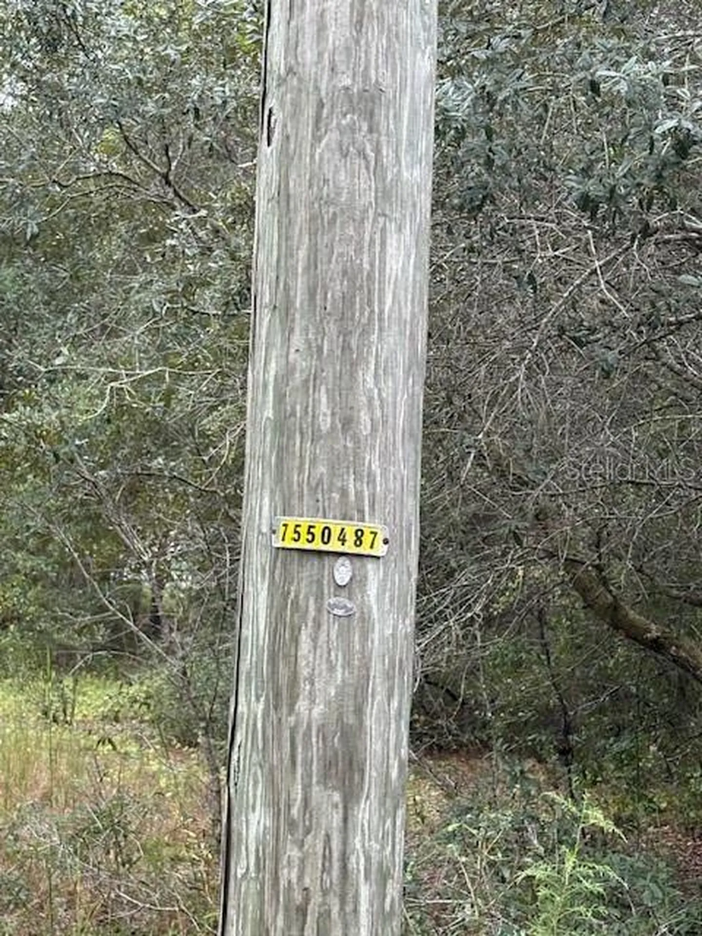 Ocklawaha FL 32179
