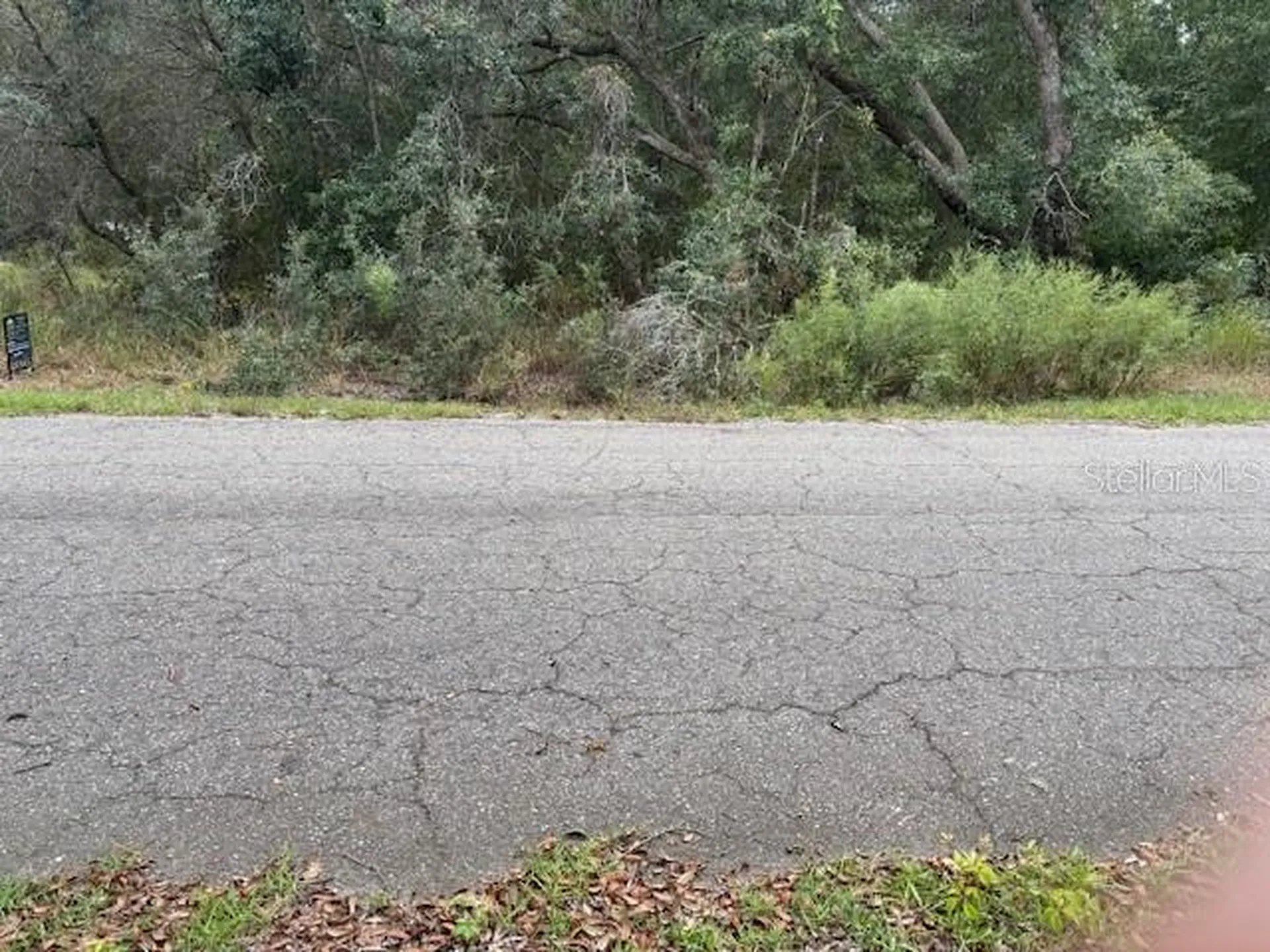 Ocklawaha FL 32179