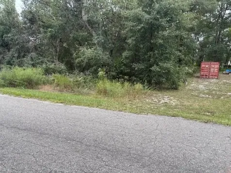 Ocklawaha FL 32179