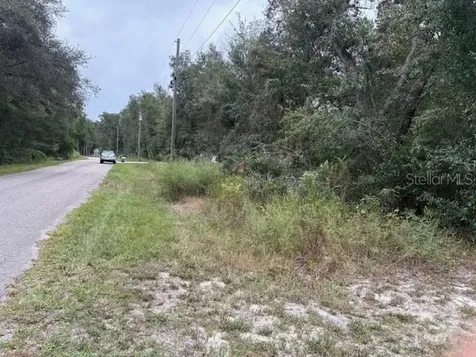 Ocklawaha FL 32179