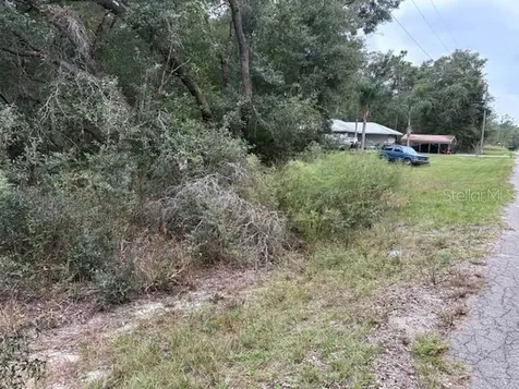 Ocklawaha FL 32179