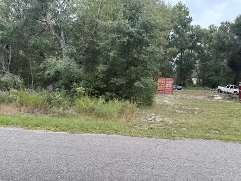Ocklawaha FL 32179