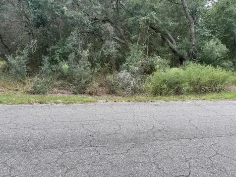 Ocklawaha FL 32179