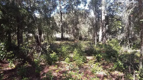 Lot 33 SW Neptune Boulevard Dunnellon FL 34431