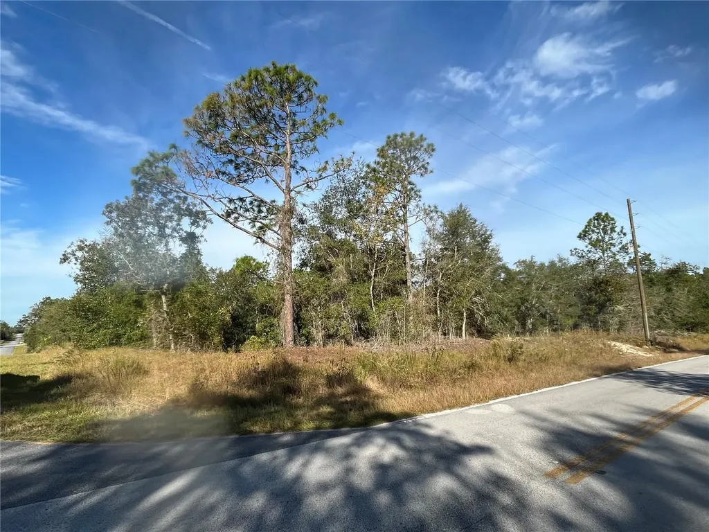 00 SW Breezy Point Drive Dunnellon FL 34431