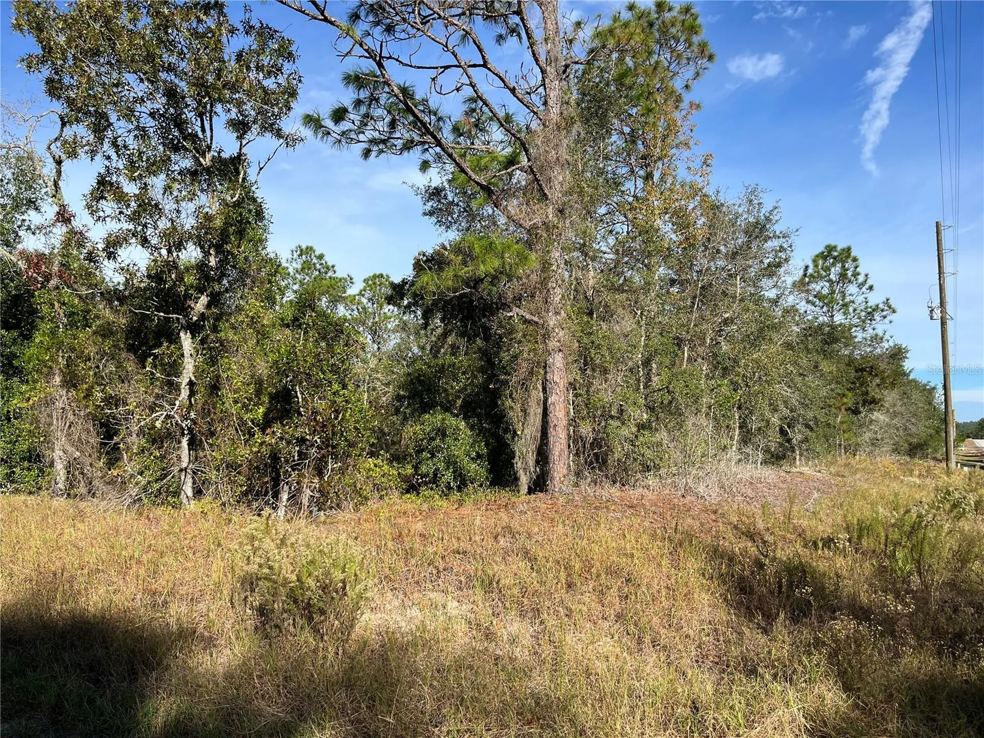 00 SW Breezy Point Drive Dunnellon FL 34431