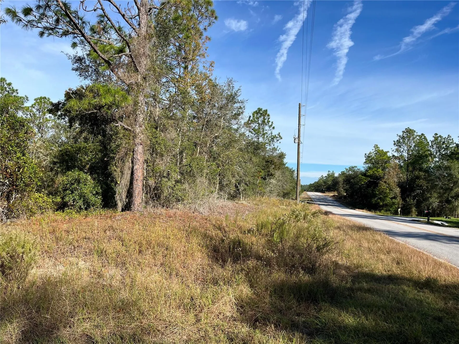 00 SW Breezy Point Drive Dunnellon FL 34431