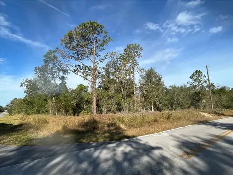 00 SW Breezy Point Drive Dunnellon FL 34431
