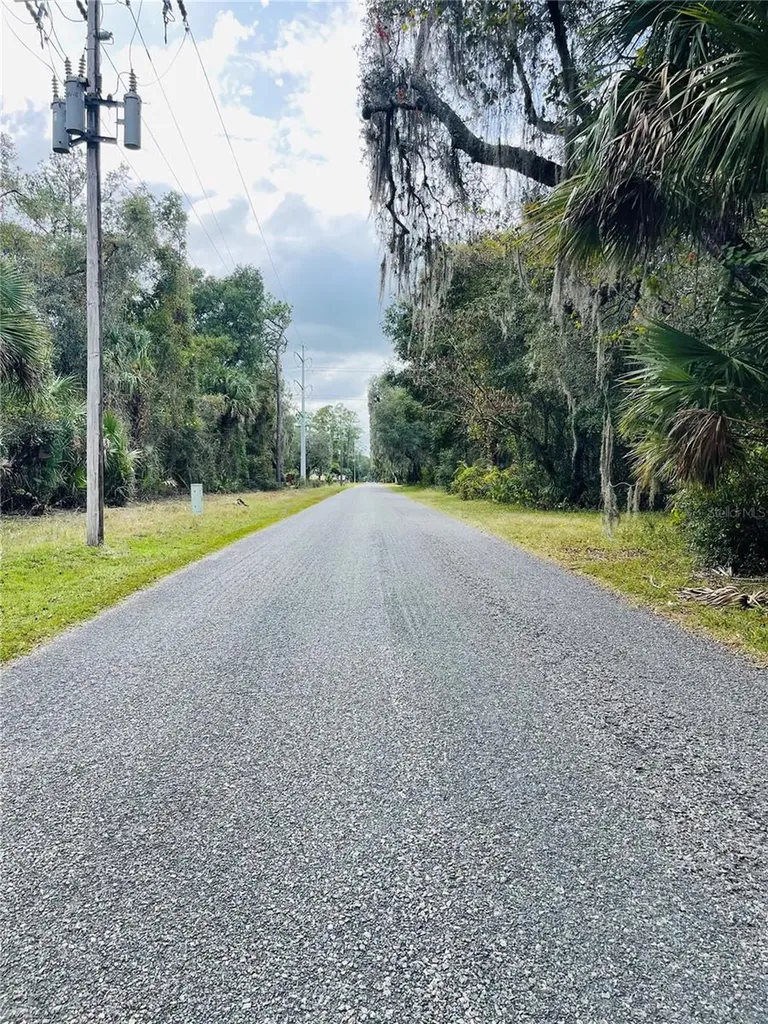 0 NE 245th Street Road Fort Mc Coy FL 32134