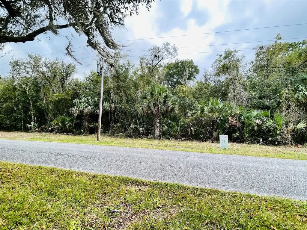 0 NE 245th Street Road Fort Mc Coy FL 32134