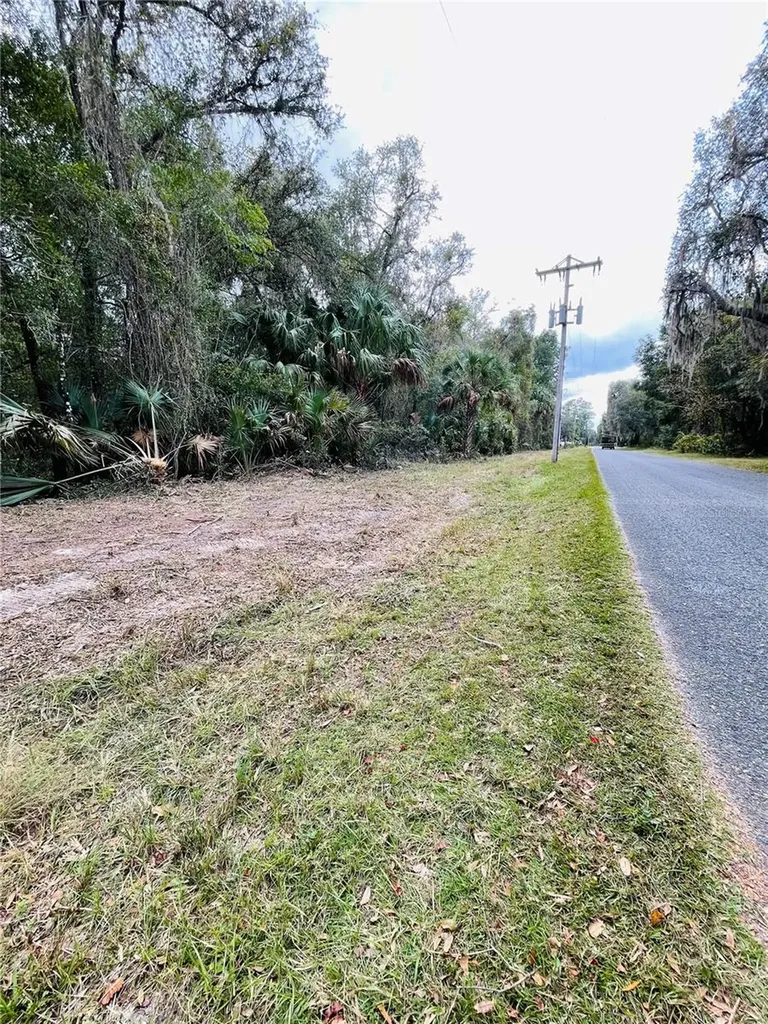 0 NE 245th Street Road Fort Mc Coy FL 32134