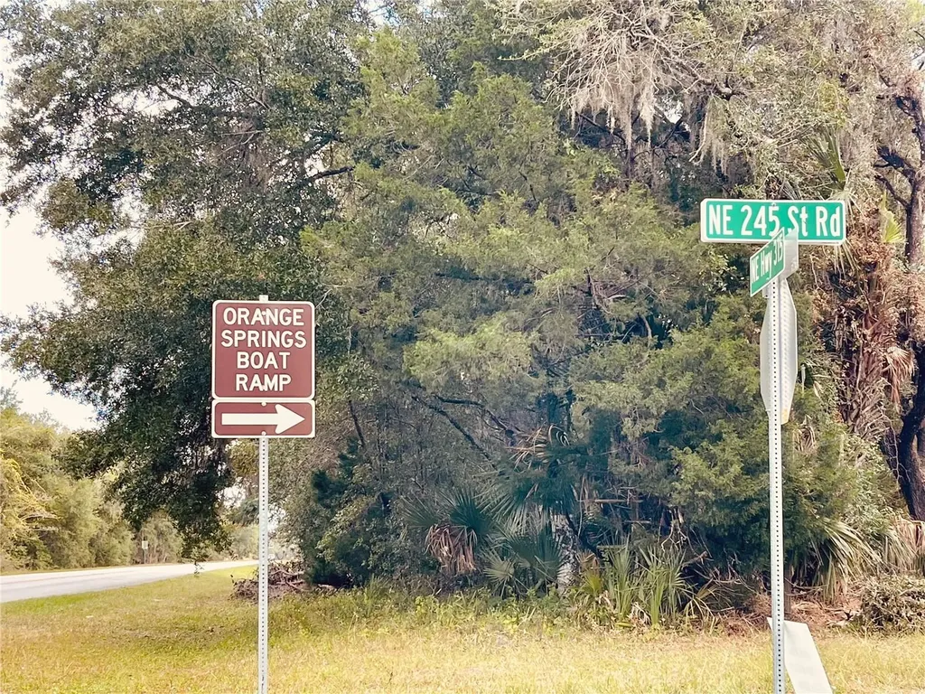 0 NE 245th Street Road Fort Mc Coy FL 32134