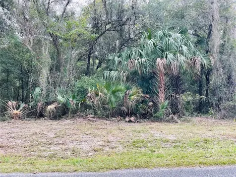 0 NE 245th Street Road Fort Mc Coy FL 32134