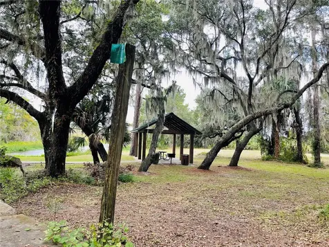 0 NE 245th Street Road Fort Mc Coy FL 32134