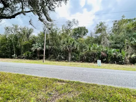 0 NE 245th Street Road Fort Mc Coy FL 32134