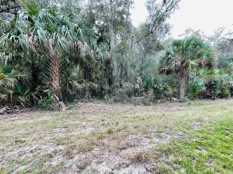 0 NE 245th Street Road Fort Mc Coy FL 32134