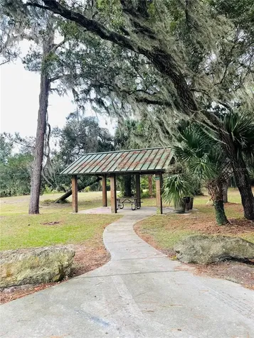 0 NE 245th Street Road Fort Mc Coy FL 32134