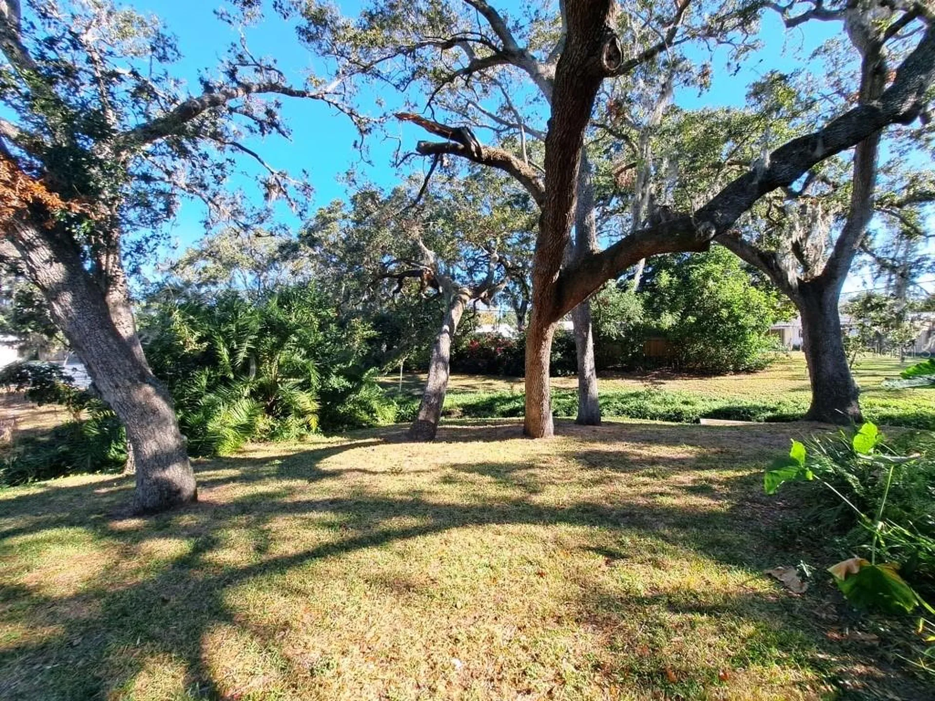 2005 Greenbriar Boulevard Clearwater FL 33763