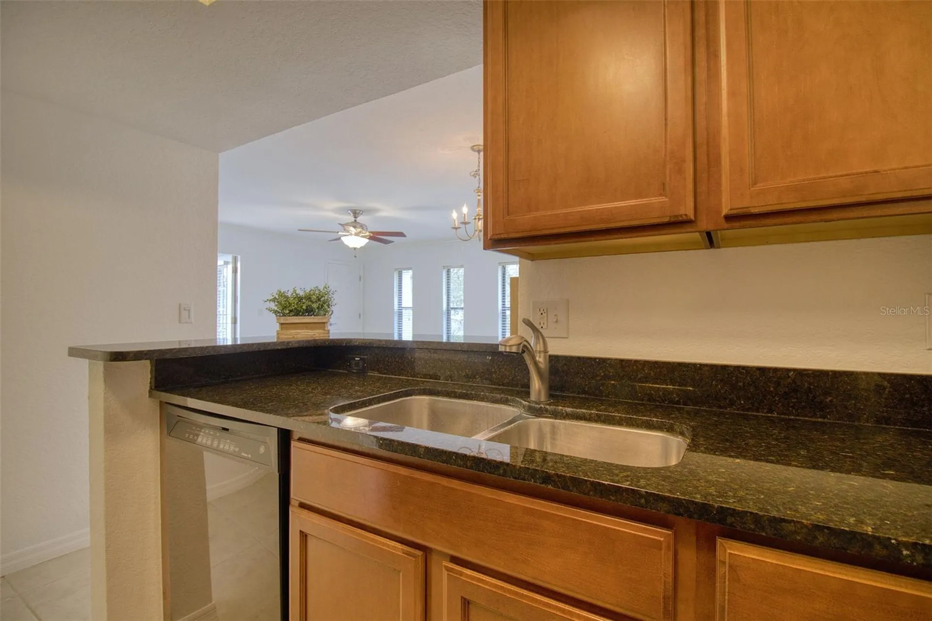 702 Lyndhurst Street Dunedin FL 34698