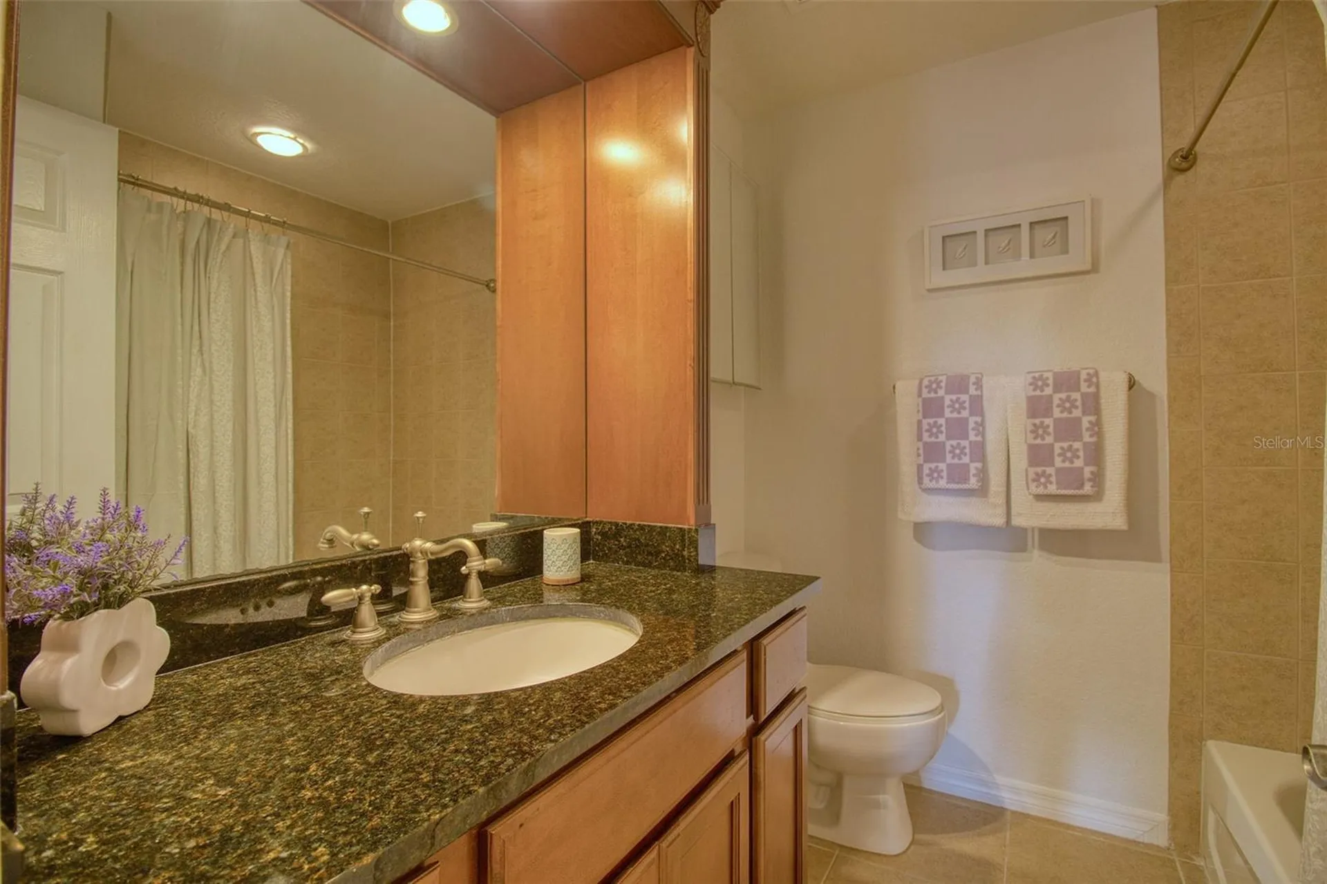 702 Lyndhurst Street Dunedin FL 34698