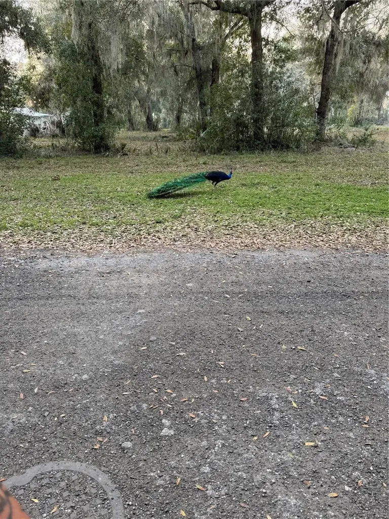 1074 Front Street Welaka FL 32193