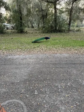 1074 Front Street Welaka FL 32193