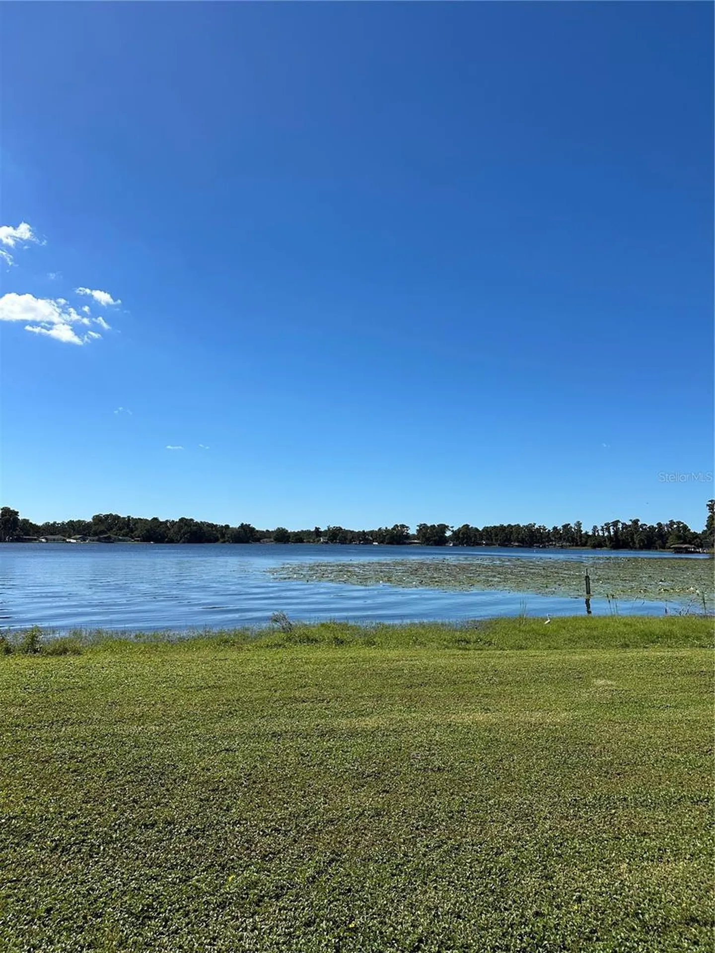 Ocasta Avenue New Port Richey FL 34654