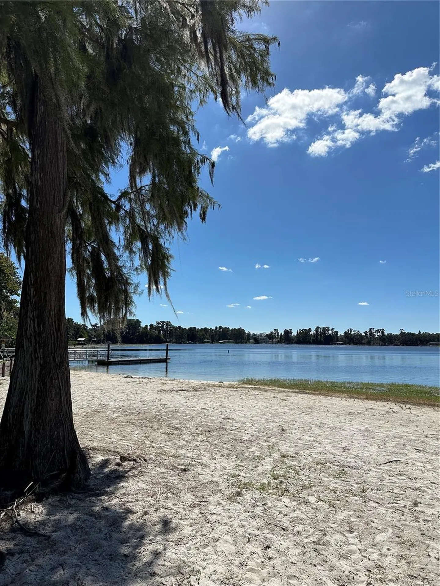 Ocasta Avenue New Port Richey FL 34654